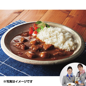 ANAオリジナル＞ビーフコンソメスープを使ったとびっきりカレー ９個